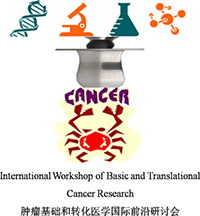 Conference Conference